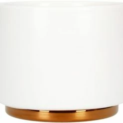 Fellow Monty Milk Art Cup 192 Ml (6.5 Oz)