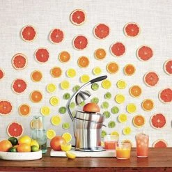 Sage The Citrus Press Pro -Coffee Grinders Store sage the citrus press pro 7071