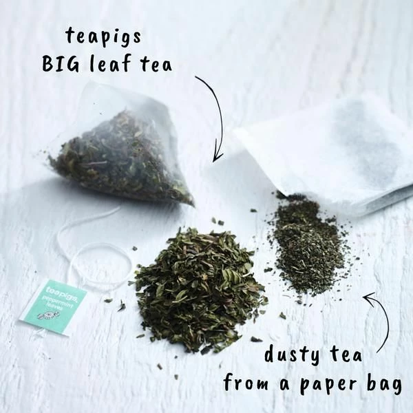 Teapigs Peppermint Tea Bags 4 Teapigs Peppermint Tea Bags - Image 2